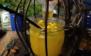 30 People Who Got Some Of The Most Ridiculous Food Servings In The Restaurant Business (New Pics)