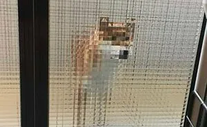 50 Times Real-Life Looked Like It Didn't Render Properly