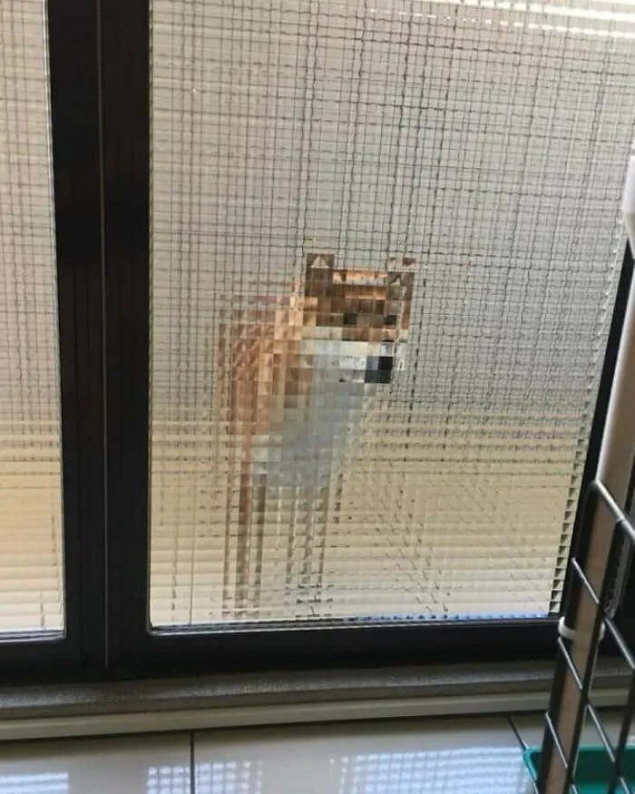 Cachorro de 8 bits