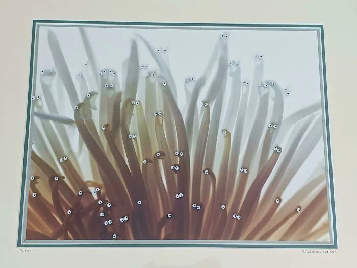I Added Googly Eyes To This Thrift Store Nature Photography. It's Hanging In My Dining Room