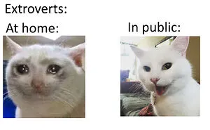 50 Of The Funniest Introvert Memes (New Pics)