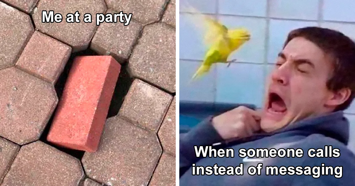 50 Of The Funniest Introvert Memes (New Pics)