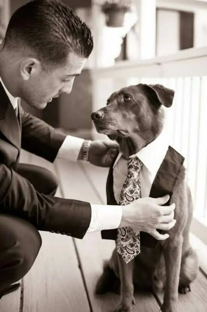 Melt My Heart Why Don’t You!