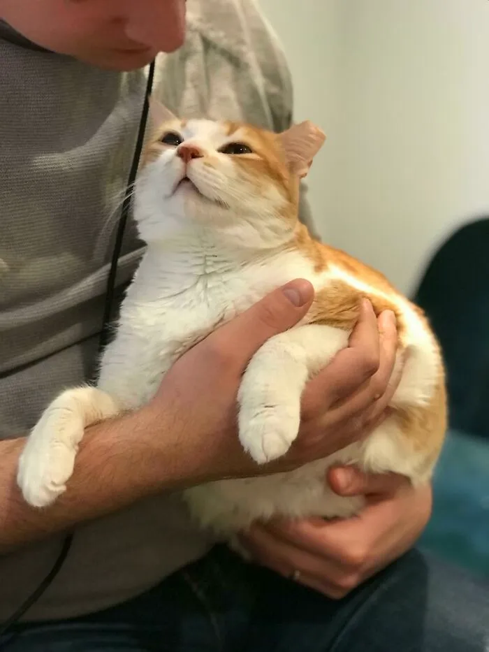 How She Looks At My Husband