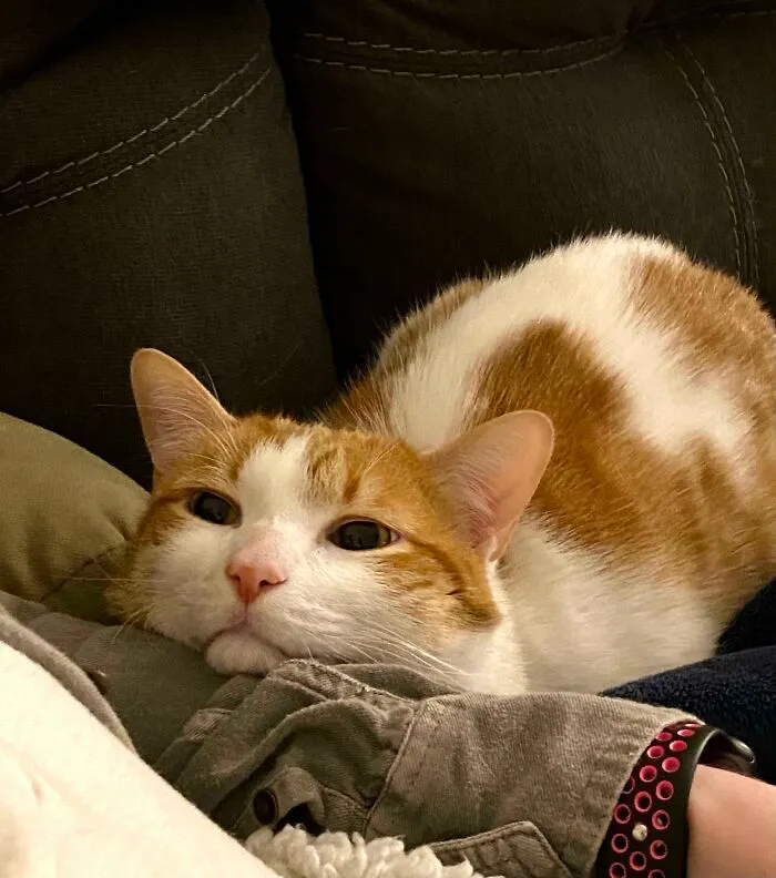 Charlie Looking Up At Me