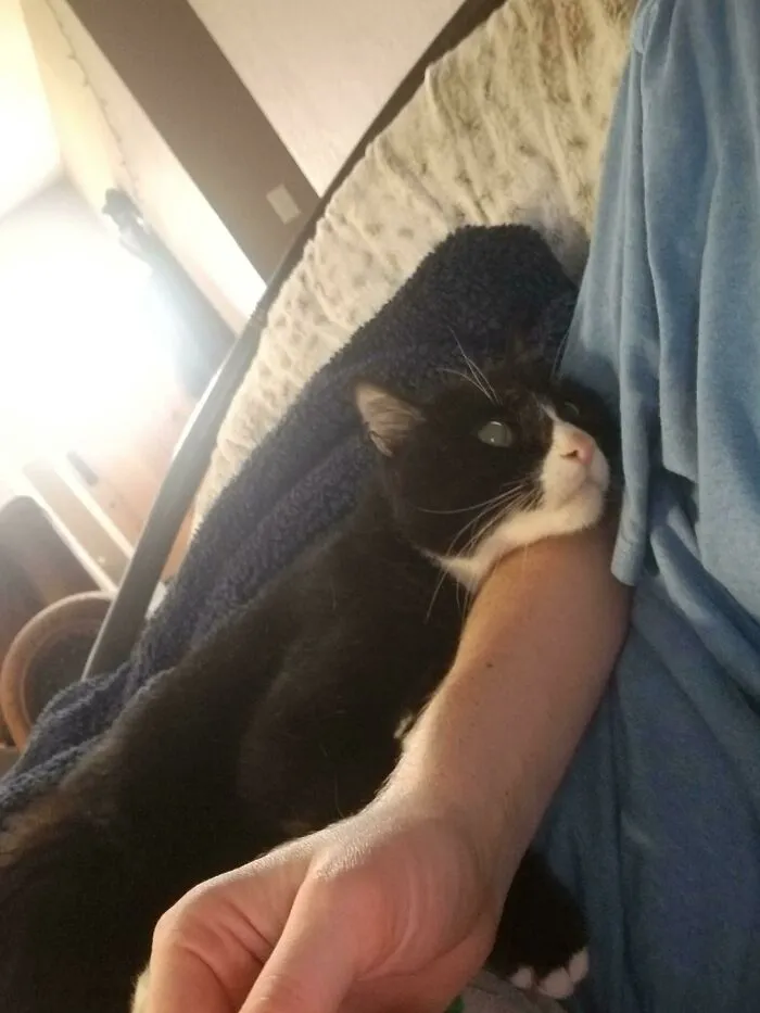 Max And I Have Been Together For 17 Years And He Still Tries To Guilt Me Into Feeding Him Early