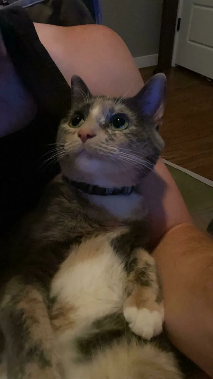 So Much Behind Those Eyes 