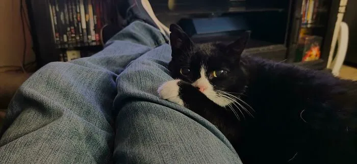 Es adorable