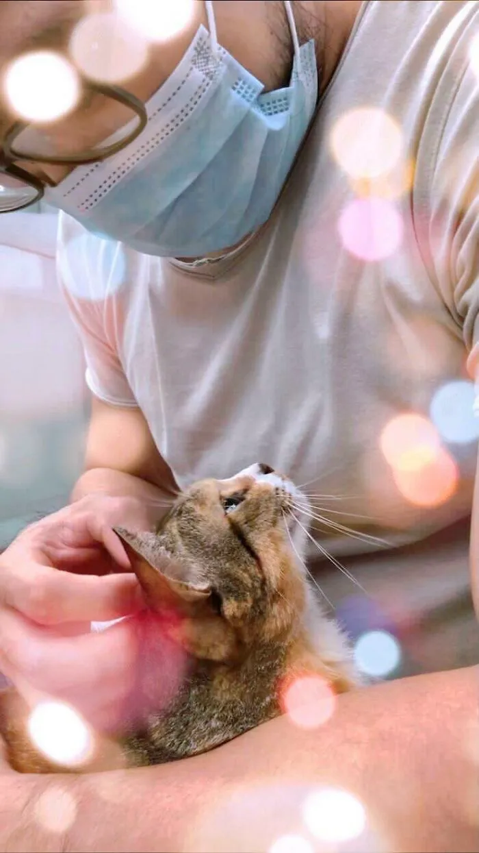 Bonito momento