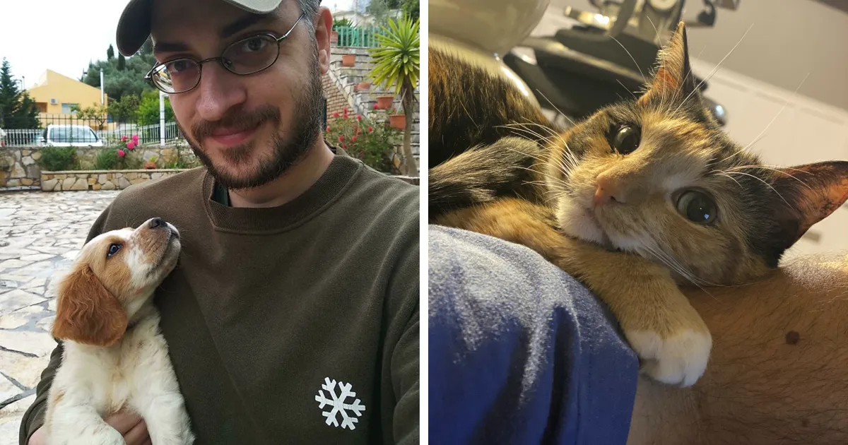 50 Mascotas mirando con amor profundo a sus dueños que te alegrarán el corazón (nuevas fotos)