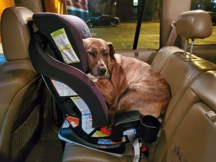 I’m A Baby, Right?