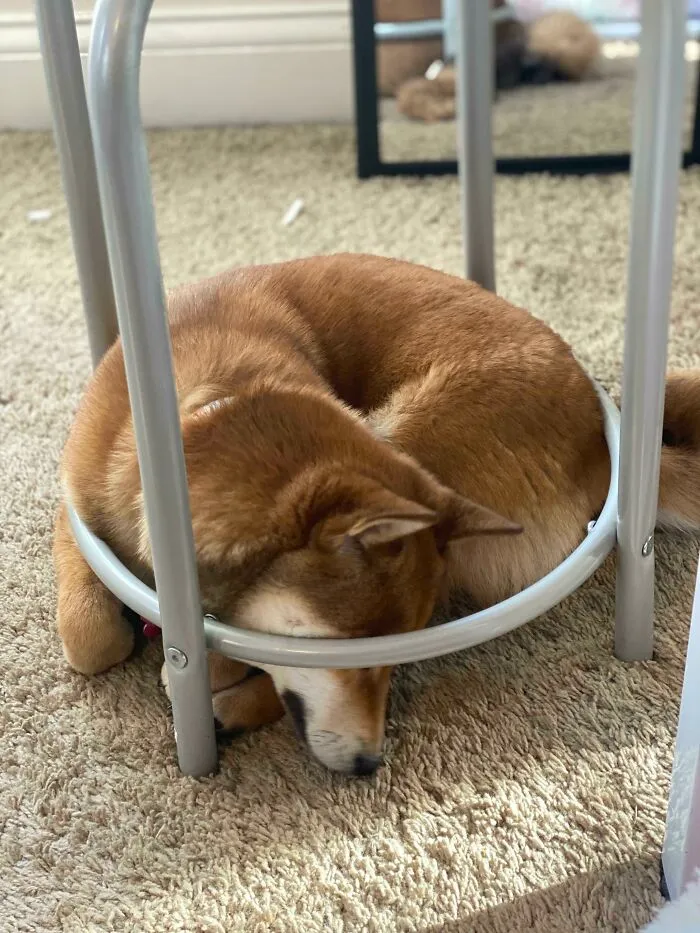 Ah Yes, The Perfect Fit