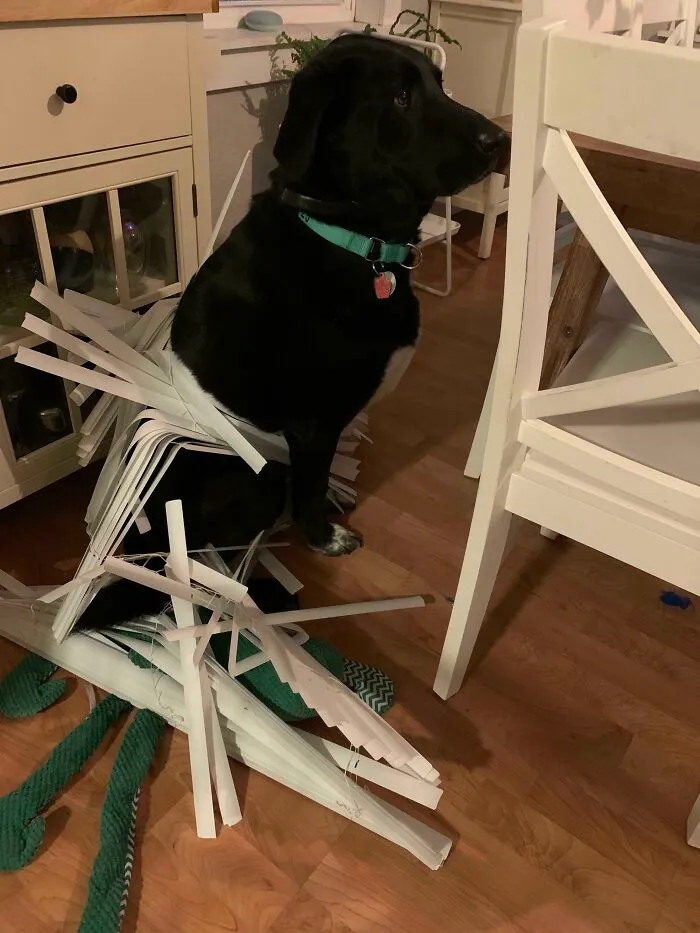 The Look Of Defeat