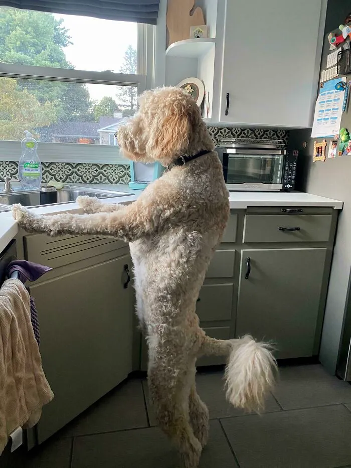 I Love It When I Come Home And He’s Already Done The Dishes!
