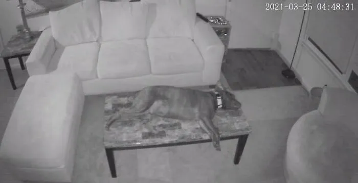 When The House Is Empty