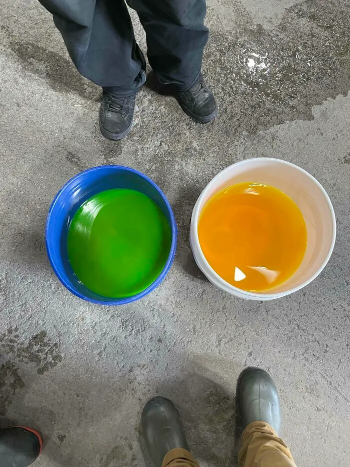 El mismo color de líquido en cubos de distinto color es una interesante comparación/contraste.