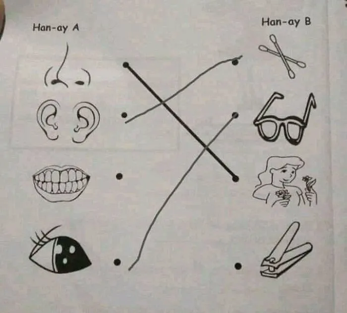 ¿Por qué pusieron ese alicate de uñas?