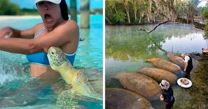 This Page Posts Pics Of Animals With Powerful Auras, And Here Are 50 Of The Most Interesting Pics (New Ones)