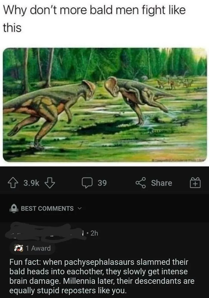Damn Pachysephalasaurs Is A Big Word