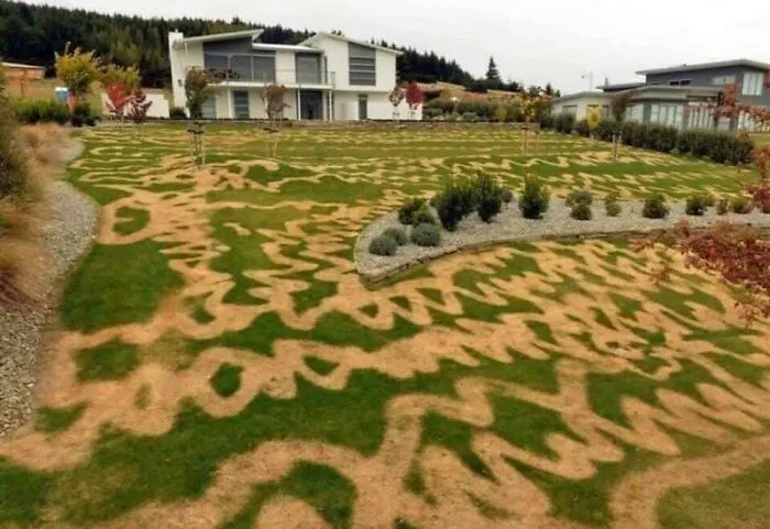 Cuando te equivocas y echas herbicida en vez de fertilizante