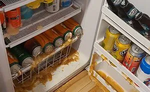 'Well, That Sucks': 45 Times Homeowners Had Their Day Ruined