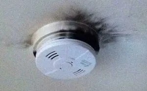 'Well, That Sucks': 45 Times Homeowners Had Their Day Ruined