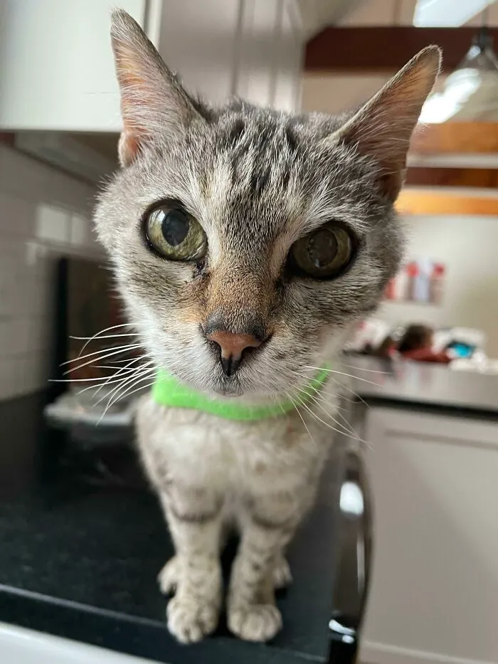 Mi viejito. En mayo cumple 19 años 