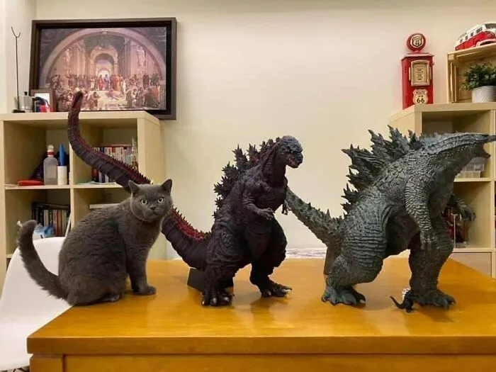 ¡Todos los Godzillas son hermosos!