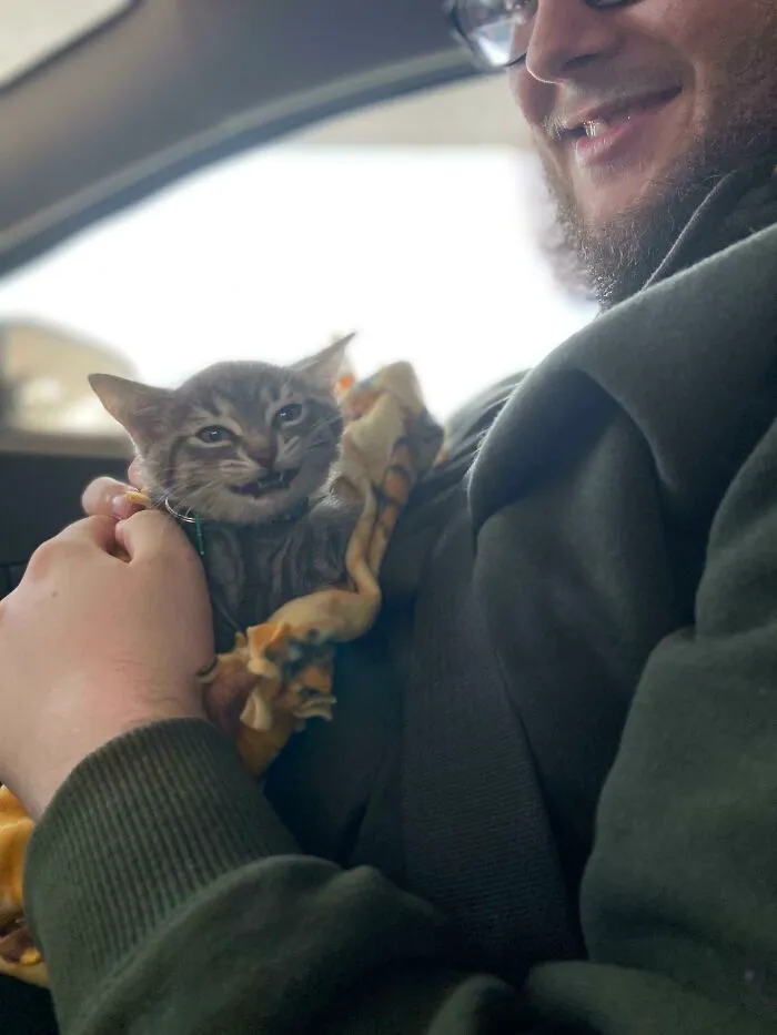 My Boyfriend And I Just Picked Up Our Little Rescue Kitten, And I Can’t Tell Who’s Happier! Meet Frog!