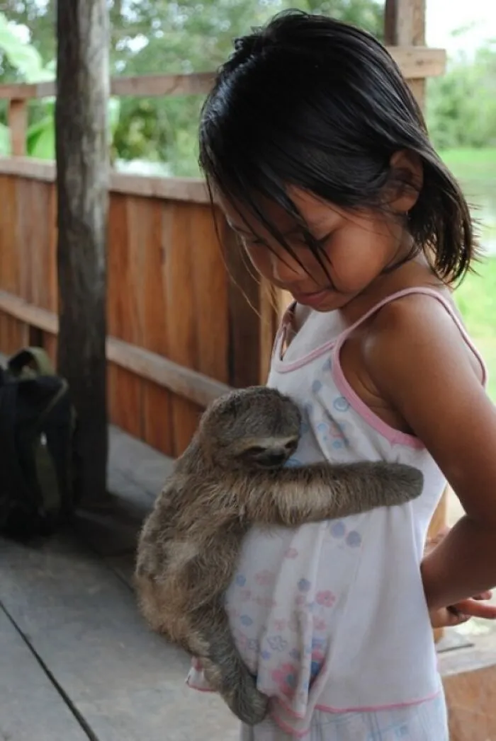 Niña abrazando un perezoso adorable en un entorno natural que transmite ternura y paz con animales adorables.