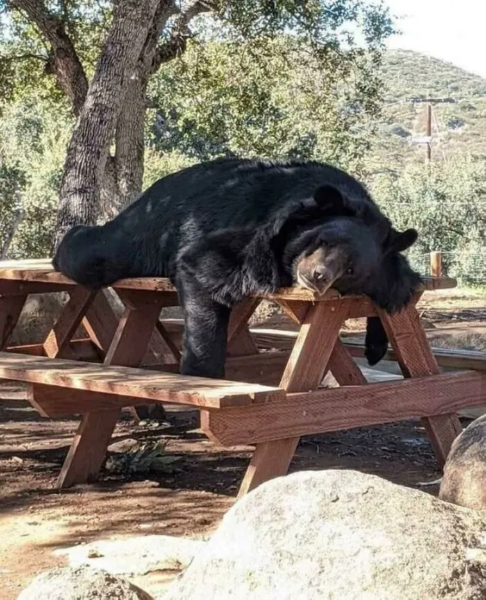 Alguien tuvo un día bastante duro