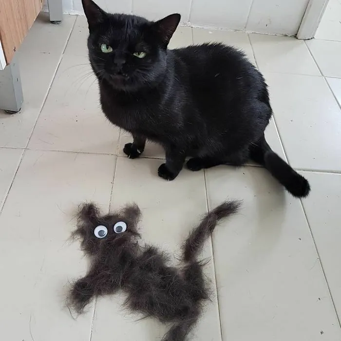 "I Do Not See The Humor In This"