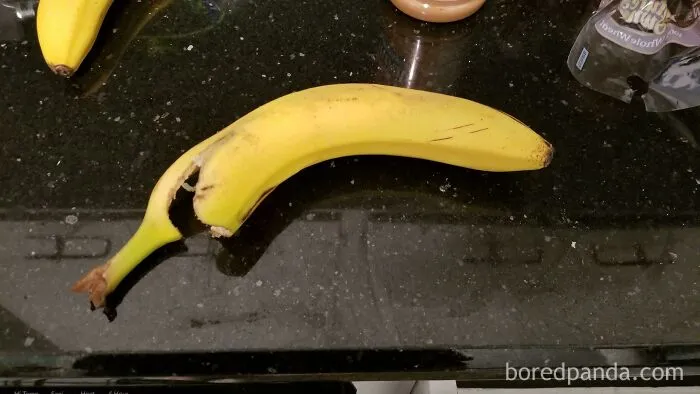 My Mother In Law Eats One Bite Of A New Banana Every Morning And Leaves The Rest On The Counter "In Case Anyone Wants One"