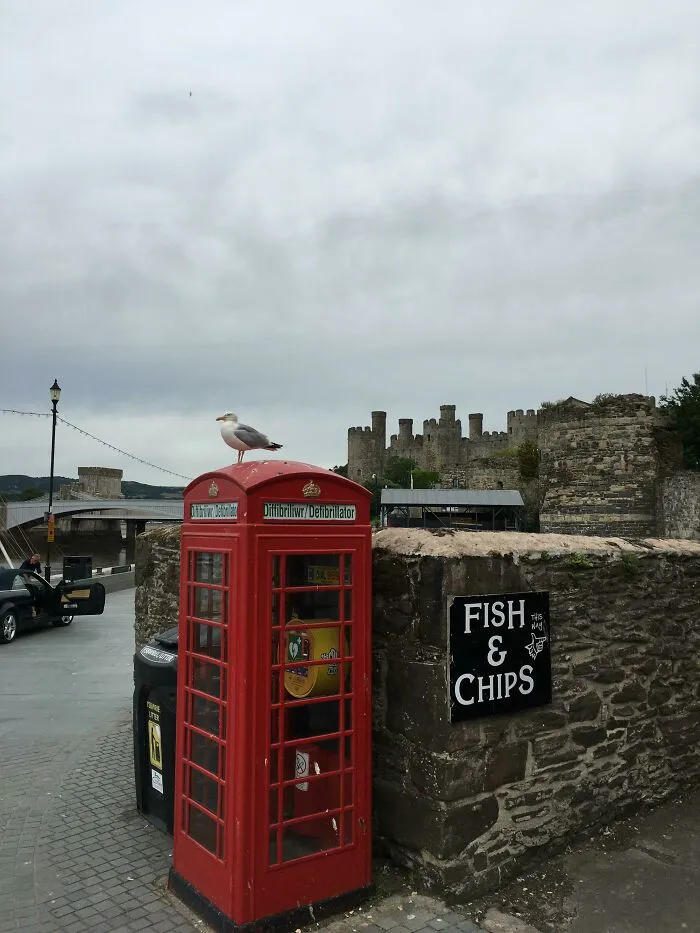 Is This The Most British Photo Ever?