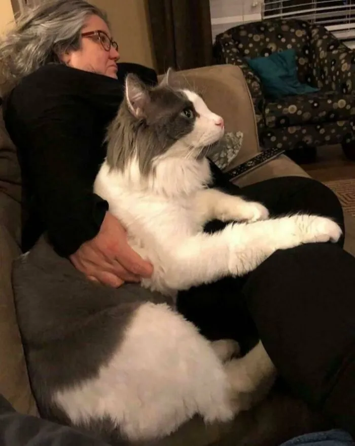 Big Boy