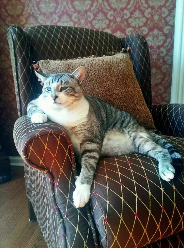 He May Be Huge, But Fat Jack Is One Suave Lookin