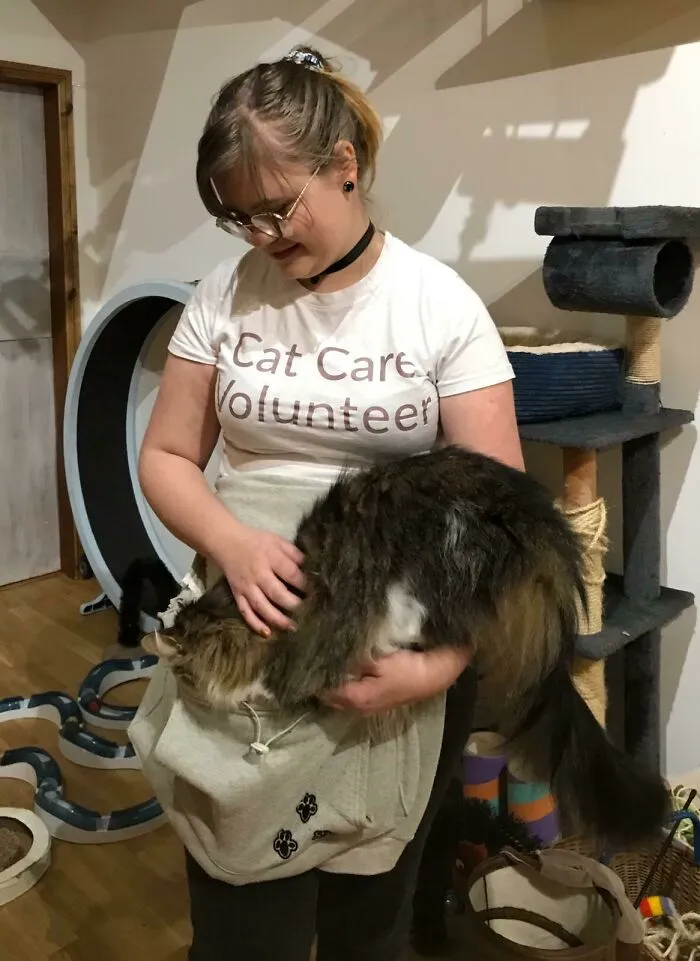 Marijke, el maine coon de la gatoteca de mi ciudad