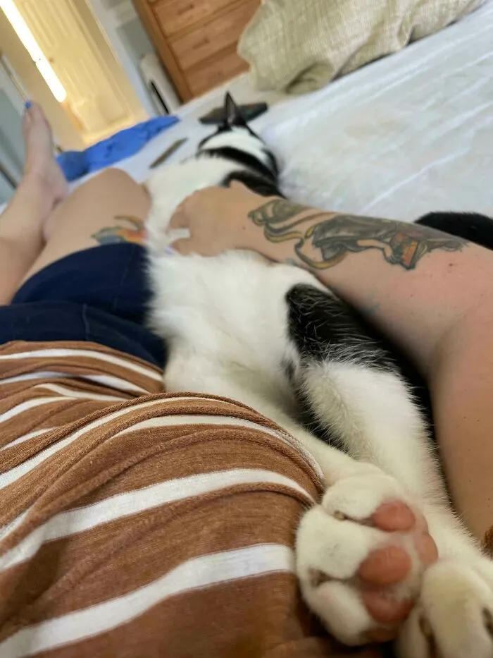 Me tomé un descanso y se me puso encima