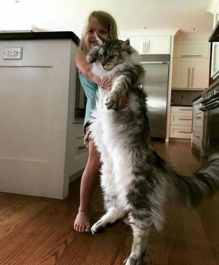 Play Mates