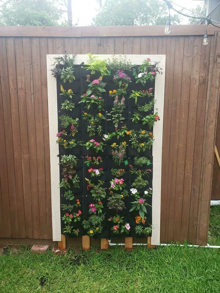 First Vertical Garden. What Do You Think?