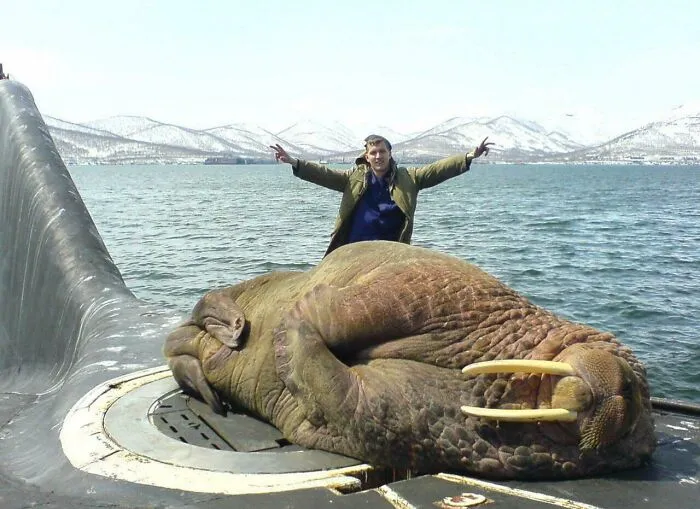 Esta Unidad Absoluta bloquea la entrada del submarino