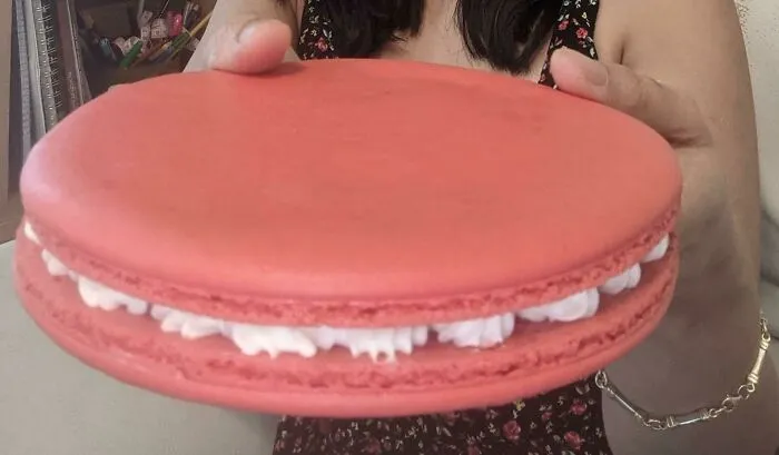 Me dijeron que este subreddit apreciaría esta Unidad Absoluta de macarrón francés que hice