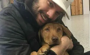 50 Of The Most Wholesome Rescue Pet Photos This April