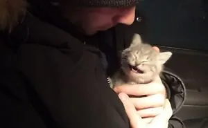 50 Of The Most Wholesome Rescue Pet Photos This April