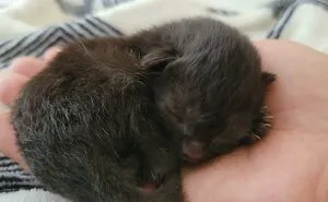 50 Of The Most Wholesome Rescue Pet Photos This April