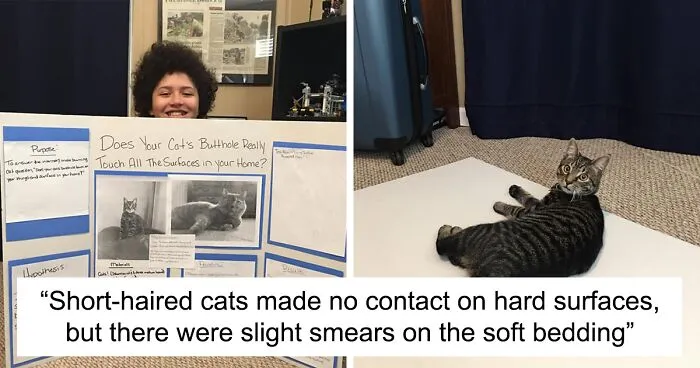 This 6th Grader Wanted To See How Many Surfaces Your Cat's Butt Touches In Your Home, So He Did An Experiment