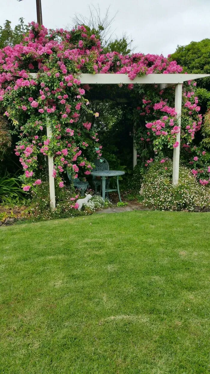 My Grandma Is Very Proud To Show You Her Garden