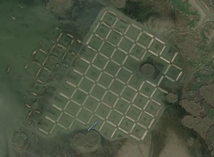 Odd Formation In Louisiana Coast - 29.323196471225256, -89.33106000180526