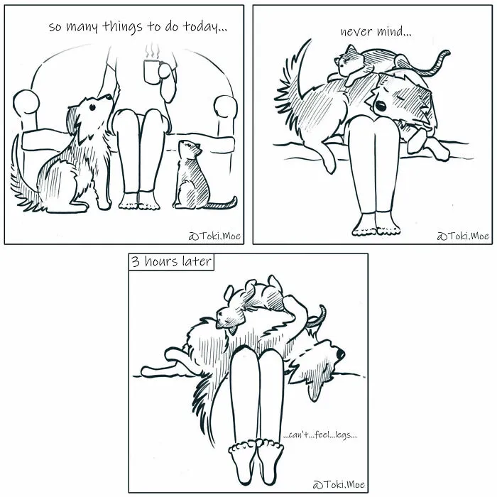 Here Are 30 More Relatable Comics About Life With Animals