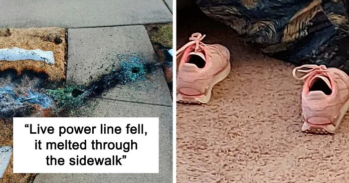 This Online Group Is Dedicated To “Mildly Interesting” Stuff, And Here Are Their 50 Best Posts (New Pics)